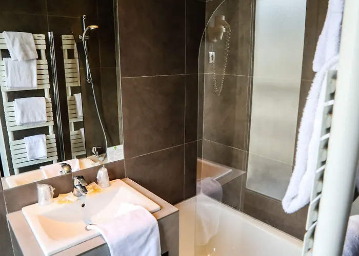 ديزارين فندق باريس