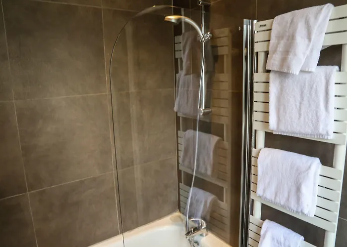 فندق ديزارين 3*