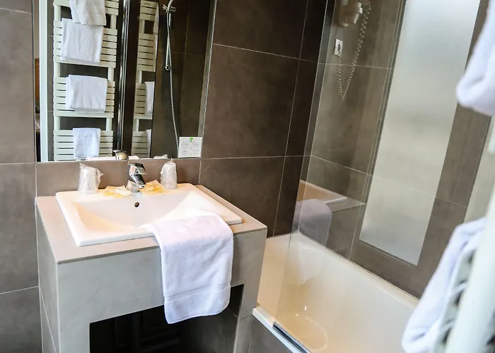 Hotel Des Arenes 3*
