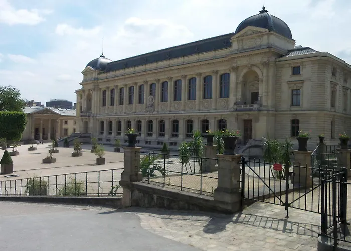 ديزارين فندق